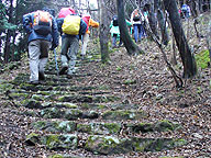 芦屋登山会の写真1