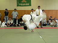 芦屋柔道協会の写真2